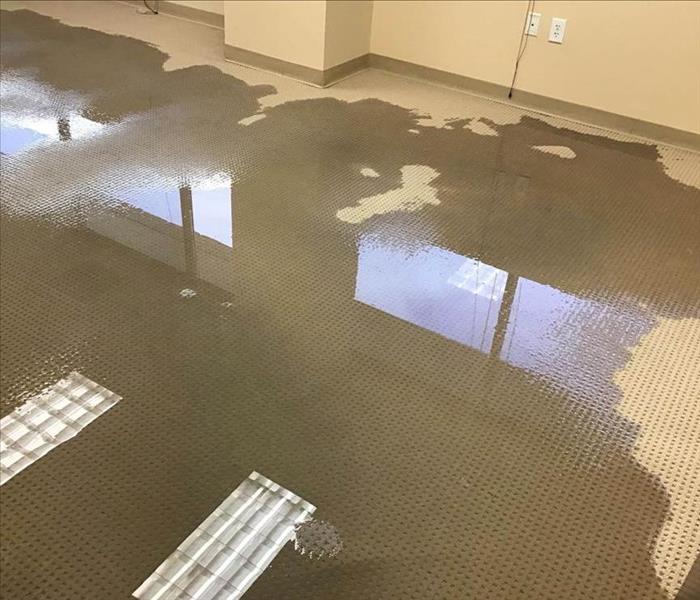 Wet stains on carpet floors.